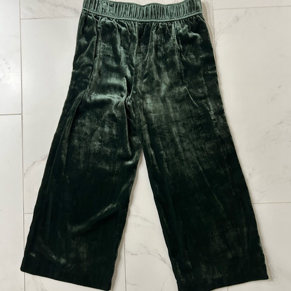 Madewell Huston Pants in Green Velvet - Picture 2 of 4